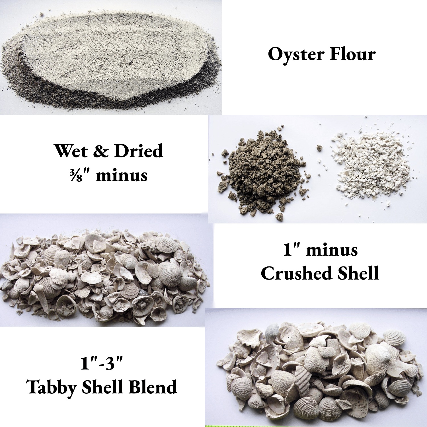 crushed shell samples, crushed oyster shells, crushed clam shells